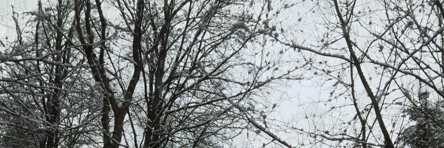 Enobily's profile banner image