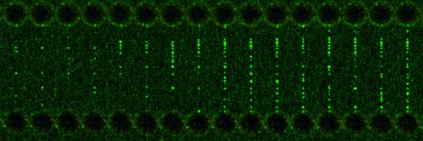 RuedaLab Profile Banner