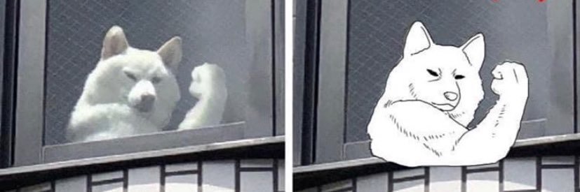 Ding banner