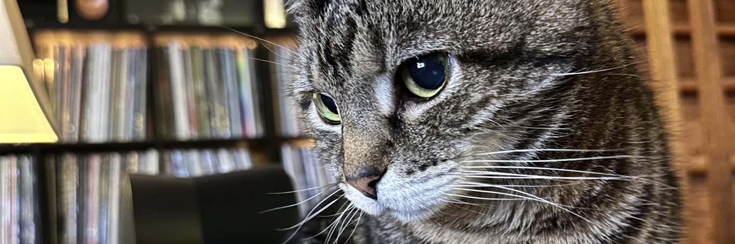 NY American Patriot 🇺🇸 banner