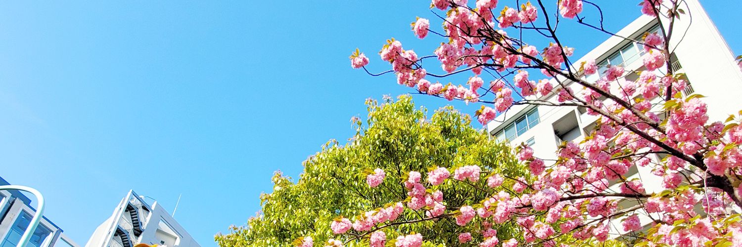 れいんドロップ banner