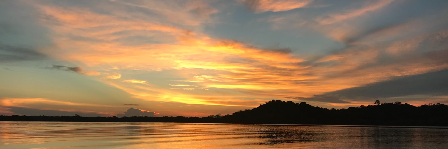 Charlie Borges Jr banner