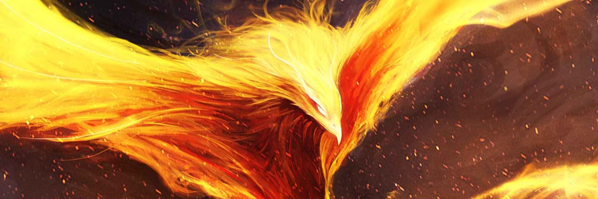 greywolve's profile banner image