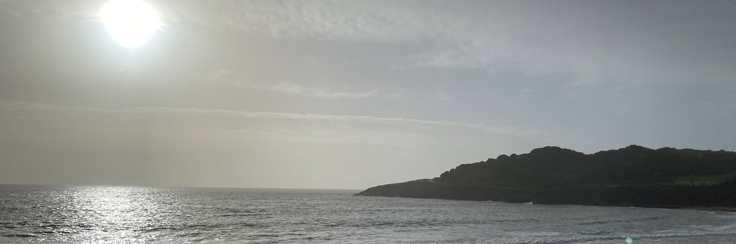Louise Wilson banner
