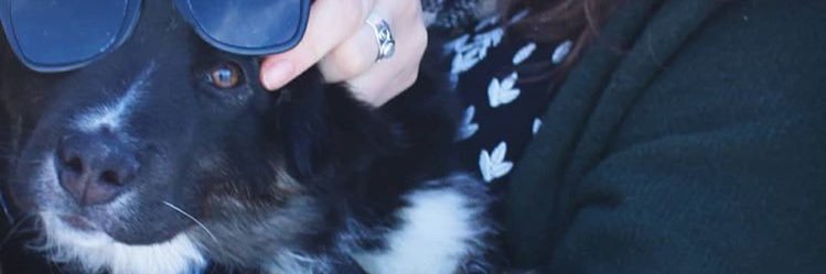 JaelynP's profile banner image