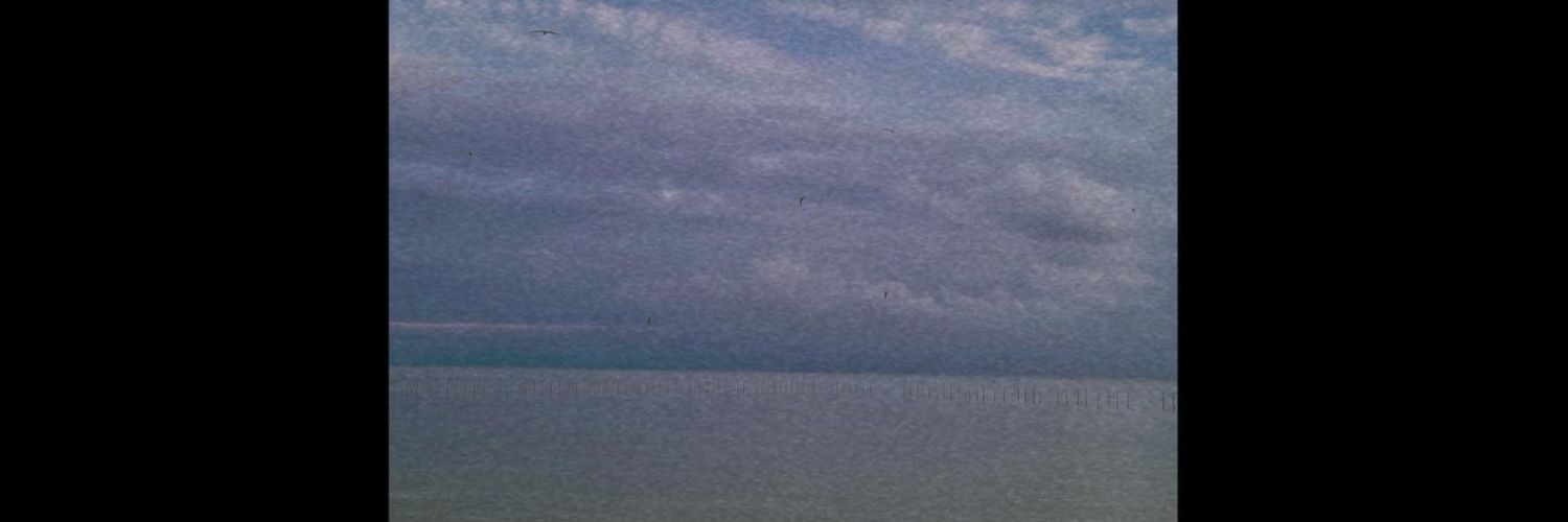 tootuzy's profile banner image