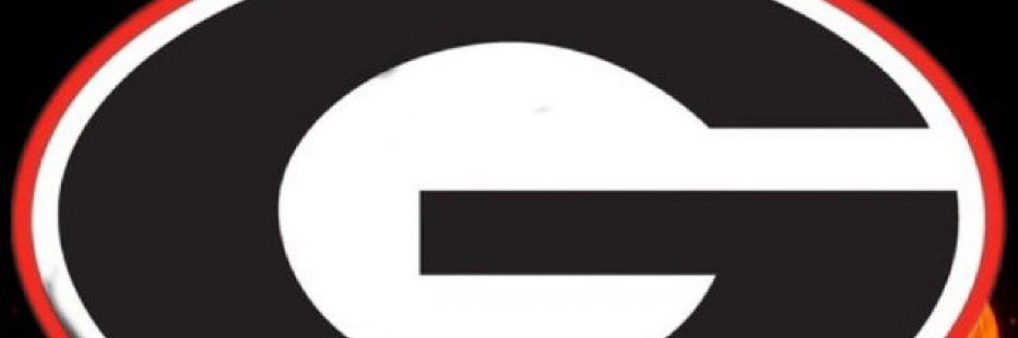 WLB_ICS's profile banner image