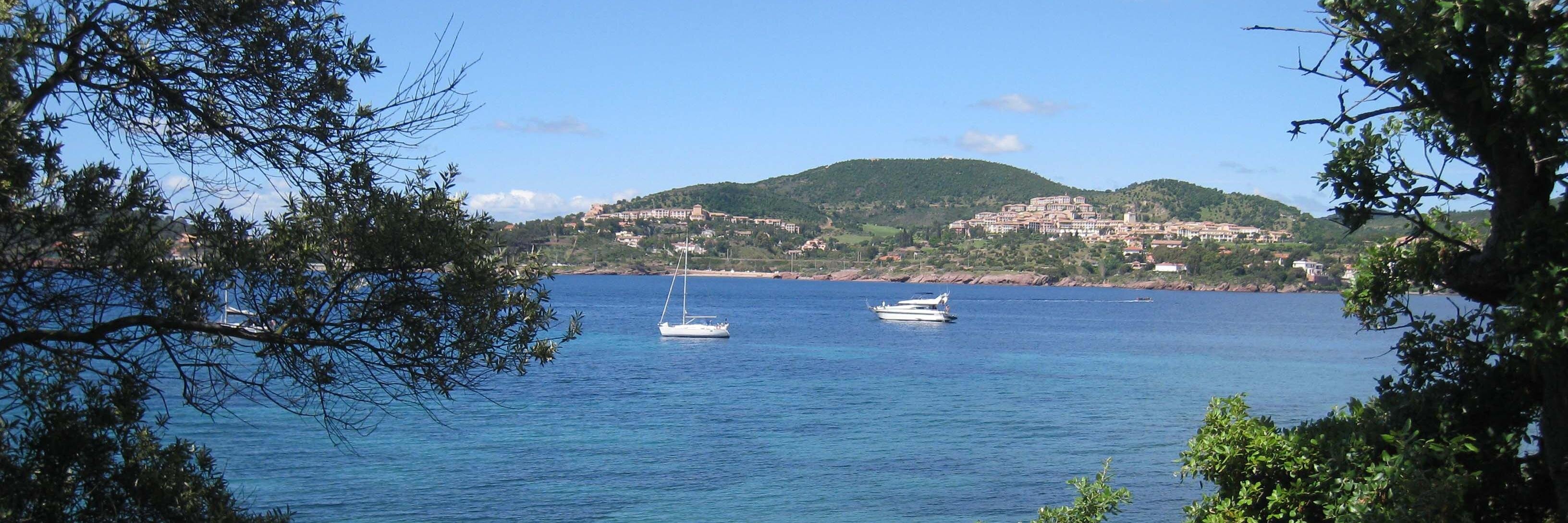 Jutta Treutlein banner