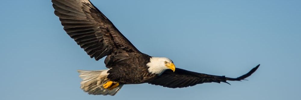 إياد القرين🔗 banner