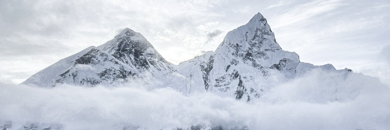 tree girl 🌲 banner