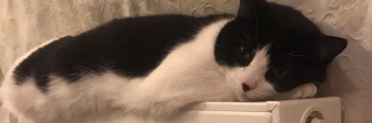 geriharold_'s profile banner image