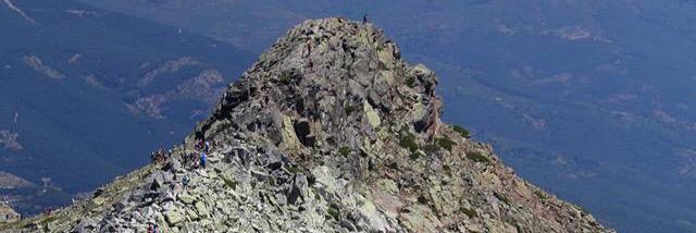 Fernando Martínez banner