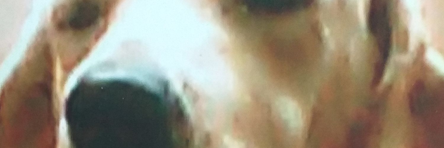 alontoca's profile banner image
