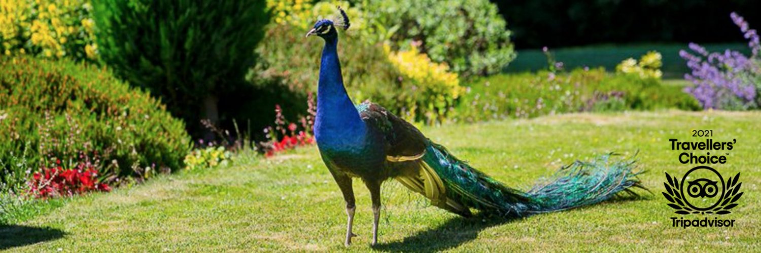 SimonstoneHall's profile banner image