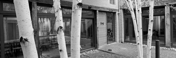 frogcapital Profile Banner