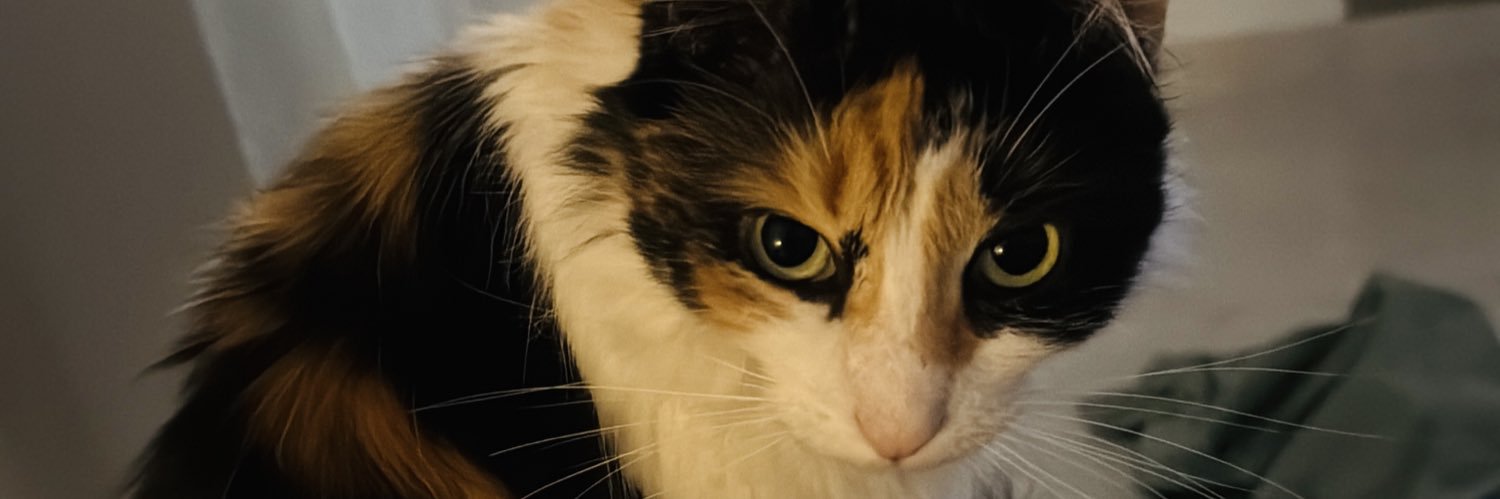 eulereuler1987's profile banner image