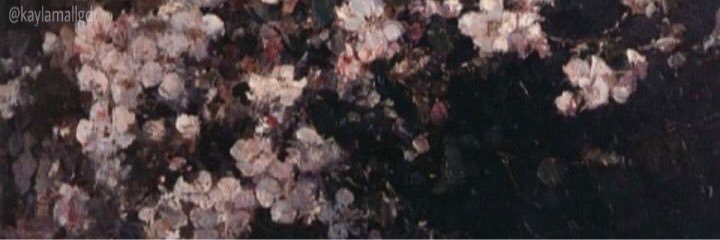 kaylamallgdr's profile banner image