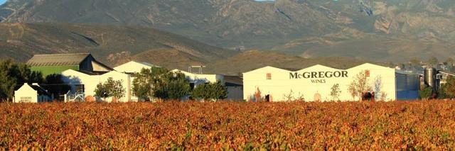 McGregorWines's profile banner image