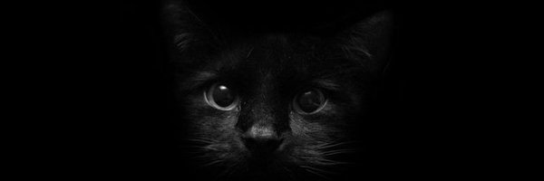 DekaKity Profile Banner