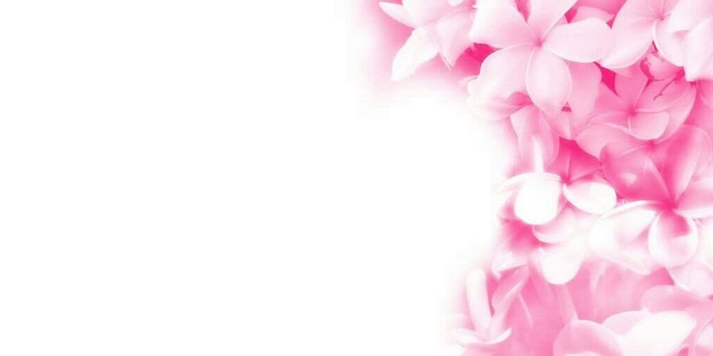 white012099's profile banner image