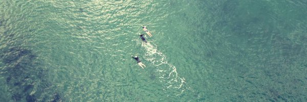 subbie Profile Banner