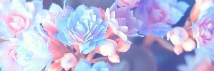 just1gee's profile banner image