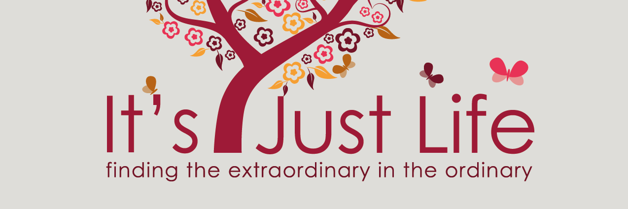 Beth Ann Chiles banner