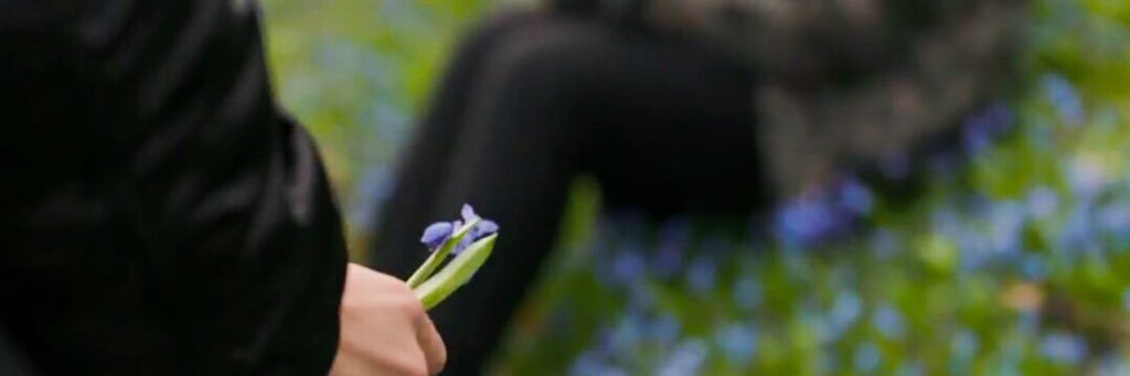 floweeersnbows's profile banner image