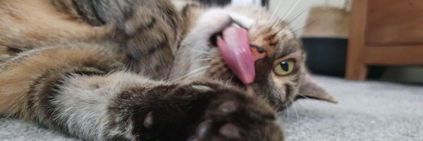lr_jordan Profile Banner