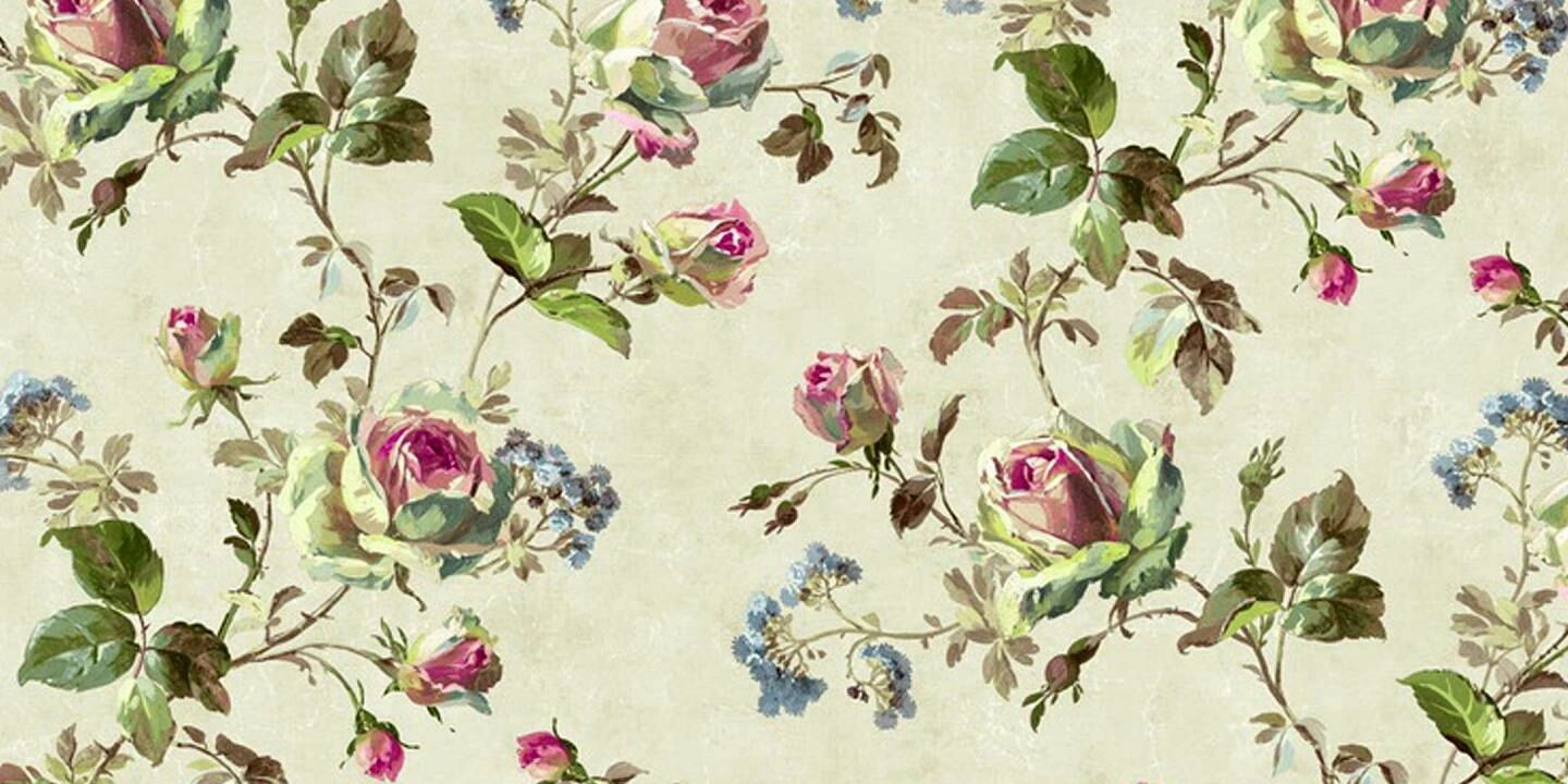 alfavl's profile banner image