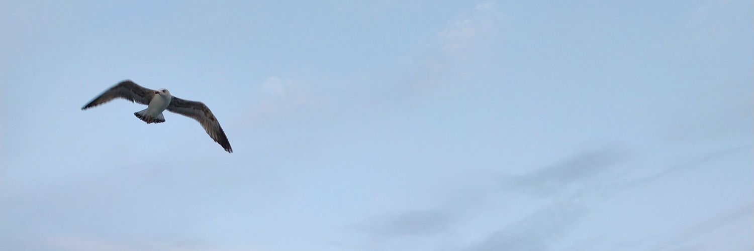 darkavc's profile banner image