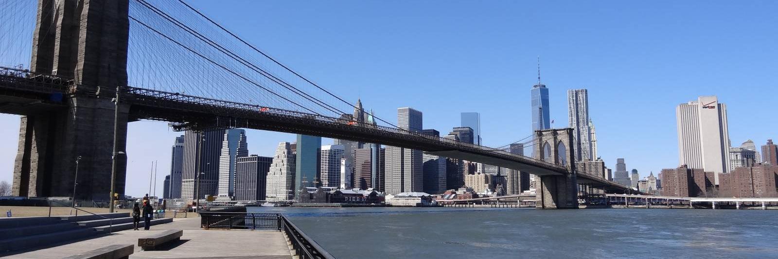 Patrice Damezin banner