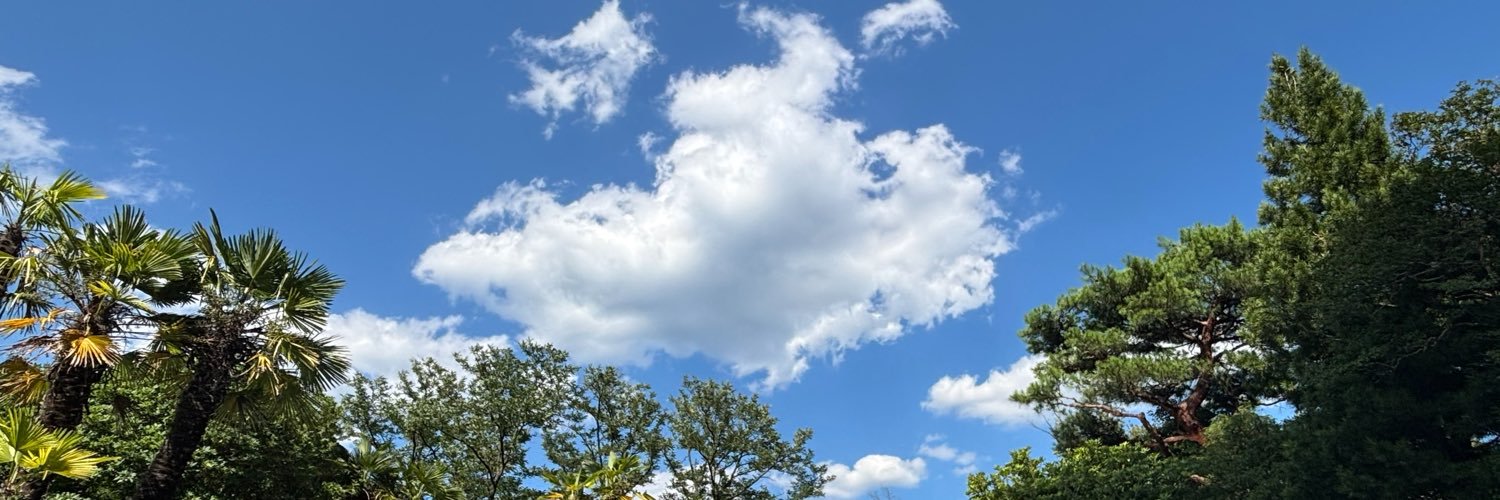 Yuto_XC60's profile banner image