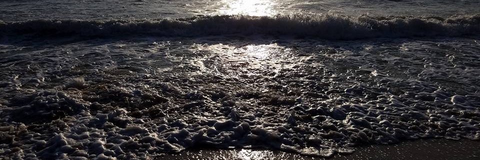jschmidty89's profile banner image