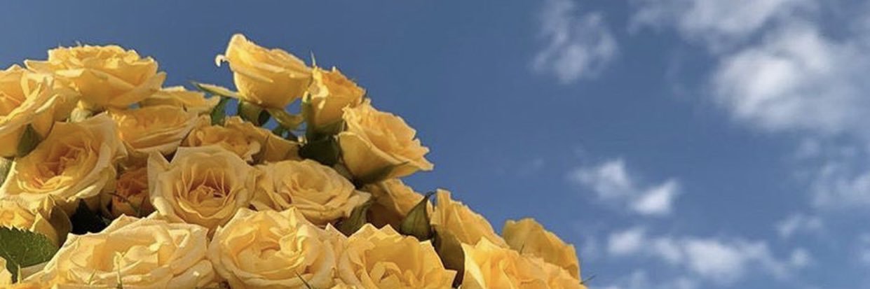 nassralrooh's profile banner image