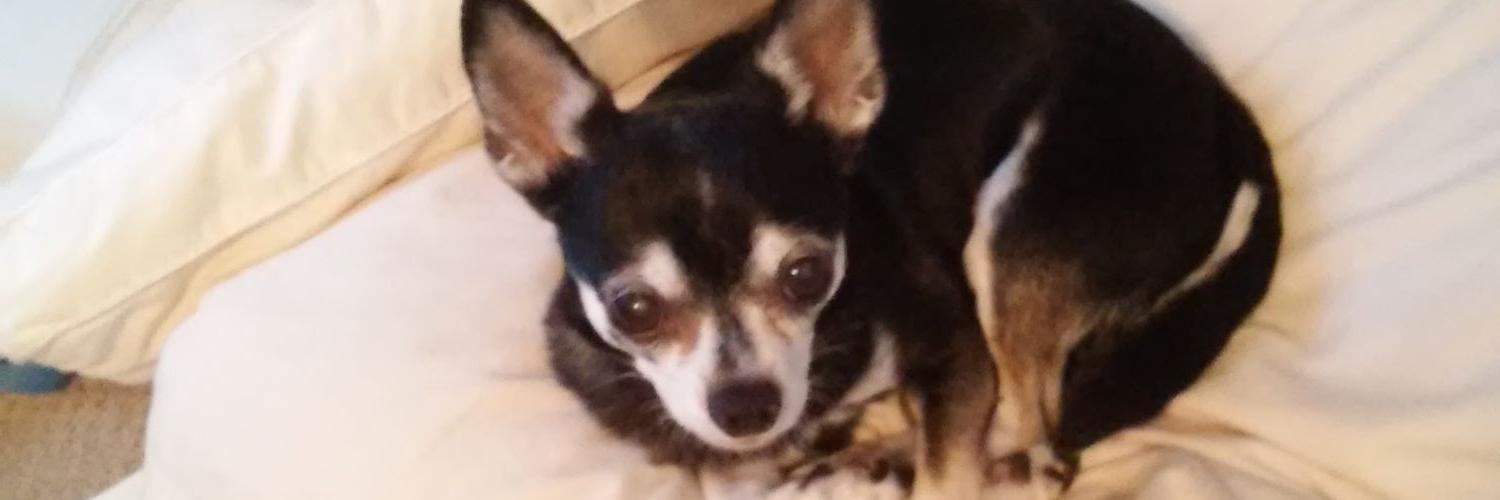 taumpytears's profile banner image