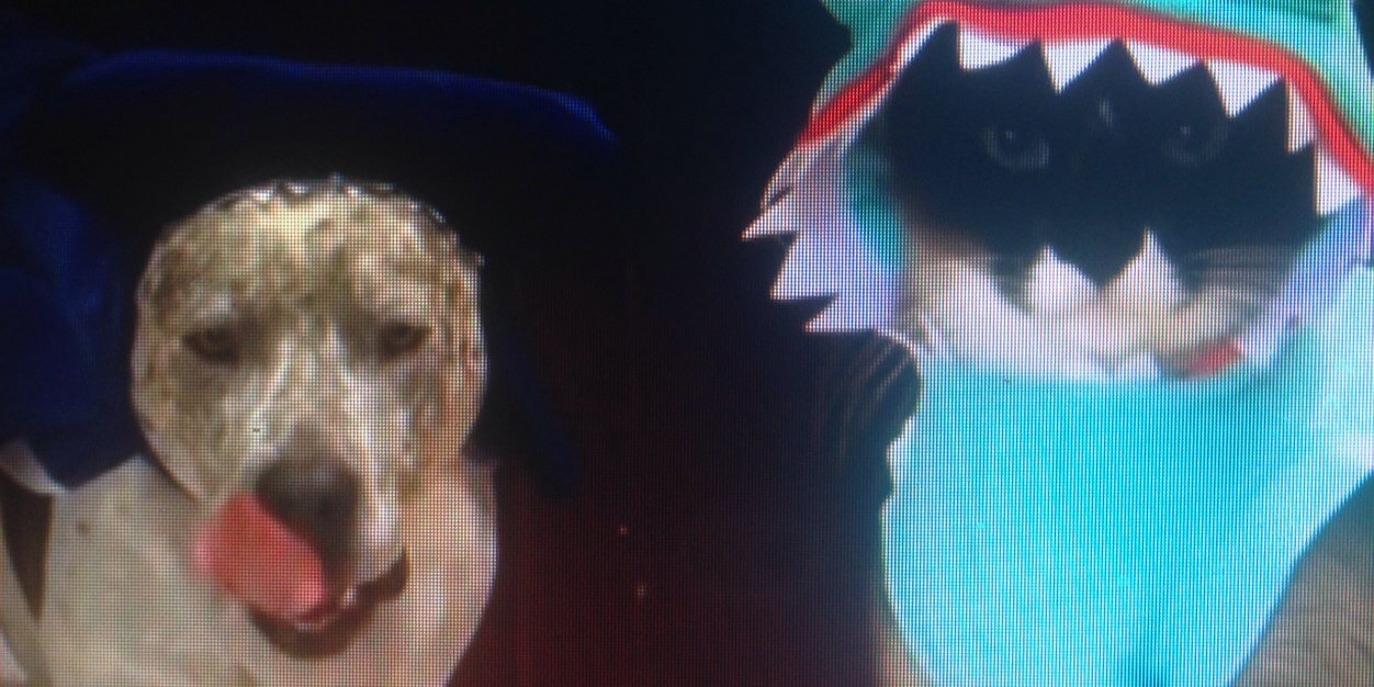 megstewart92's profile banner image