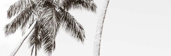 iiknowa's profile banner image