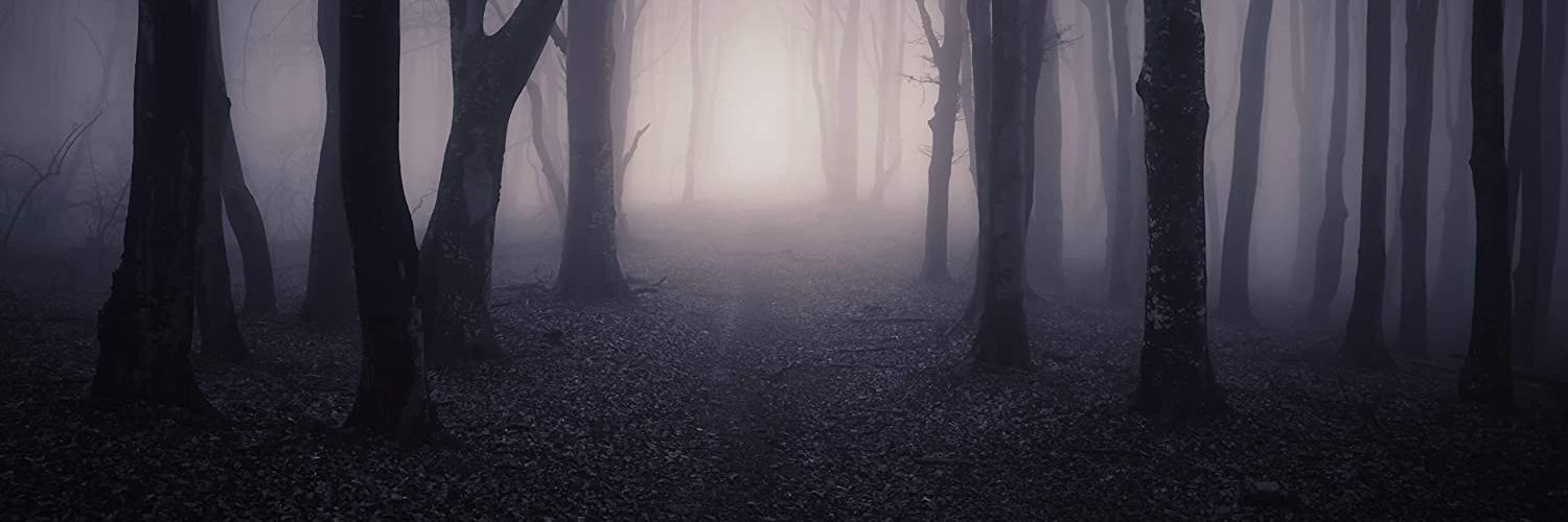 TheSr_unknown banner