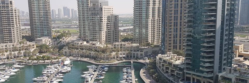 ThatPaddyRyan's profile banner image