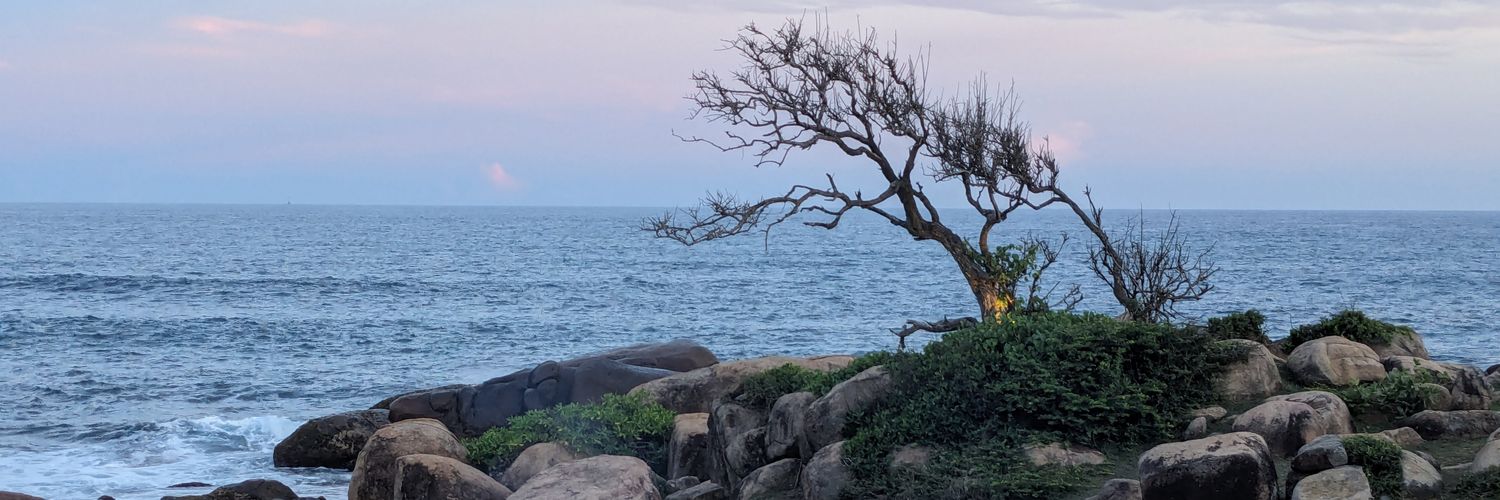 robbierack's profile banner image