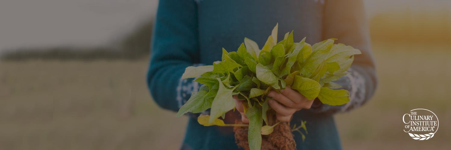 foodbizschool's profile banner image