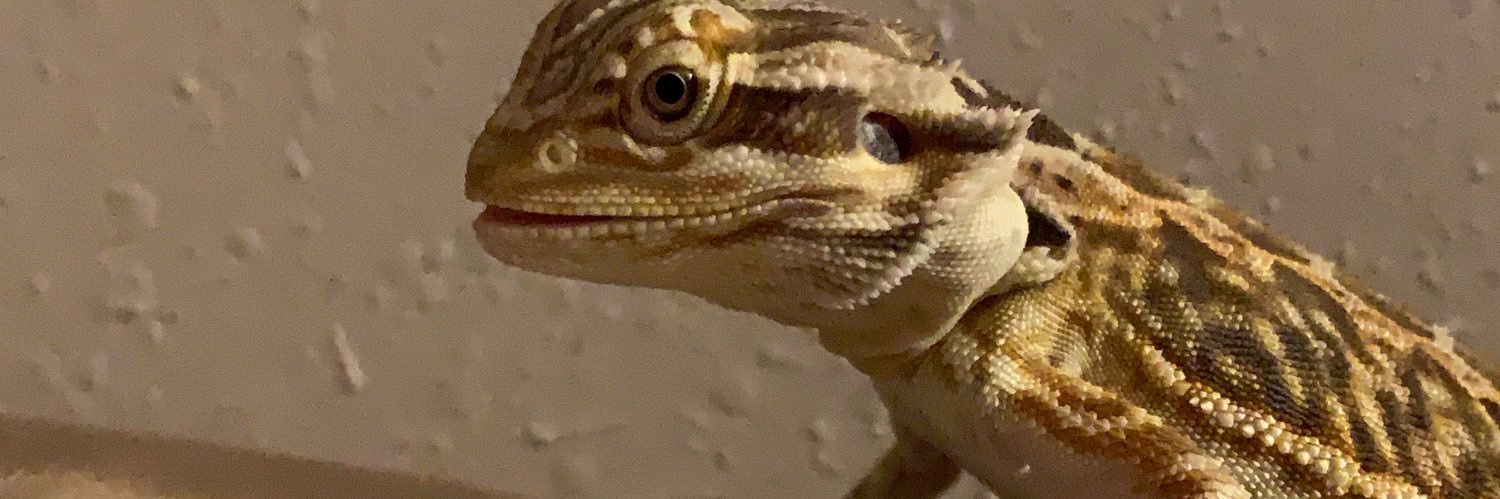 Hunny504's profile banner image