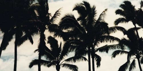 Rcgrets's profile banner image