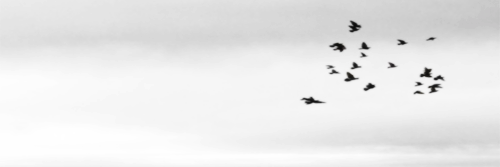 Saimaa_xo's profile banner image