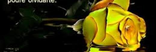 Maria_naty_'s profile banner image