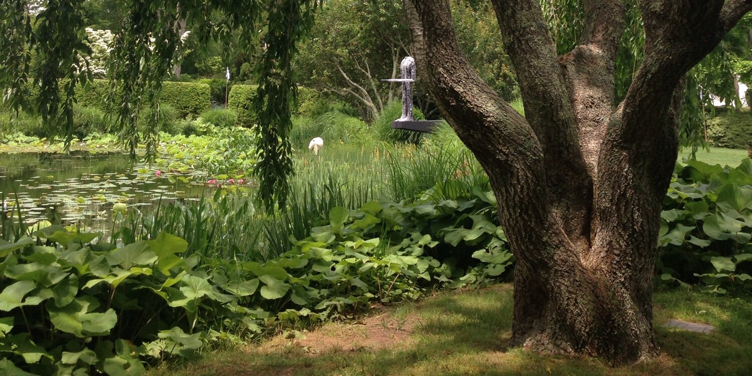 Vivienne Decker banner