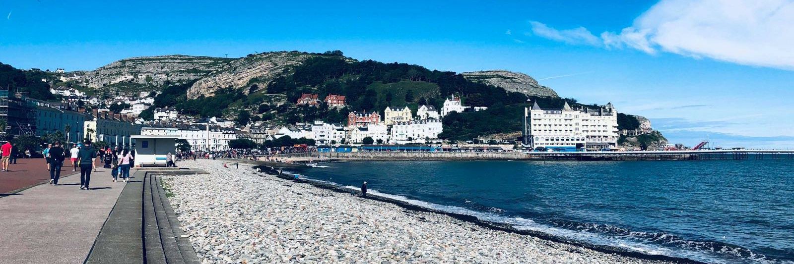 Javed Ali 🇵🇰🇵🇸 banner