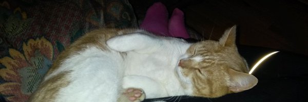 TheCumbercat Profile Banner