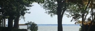 Alyson Holt banner